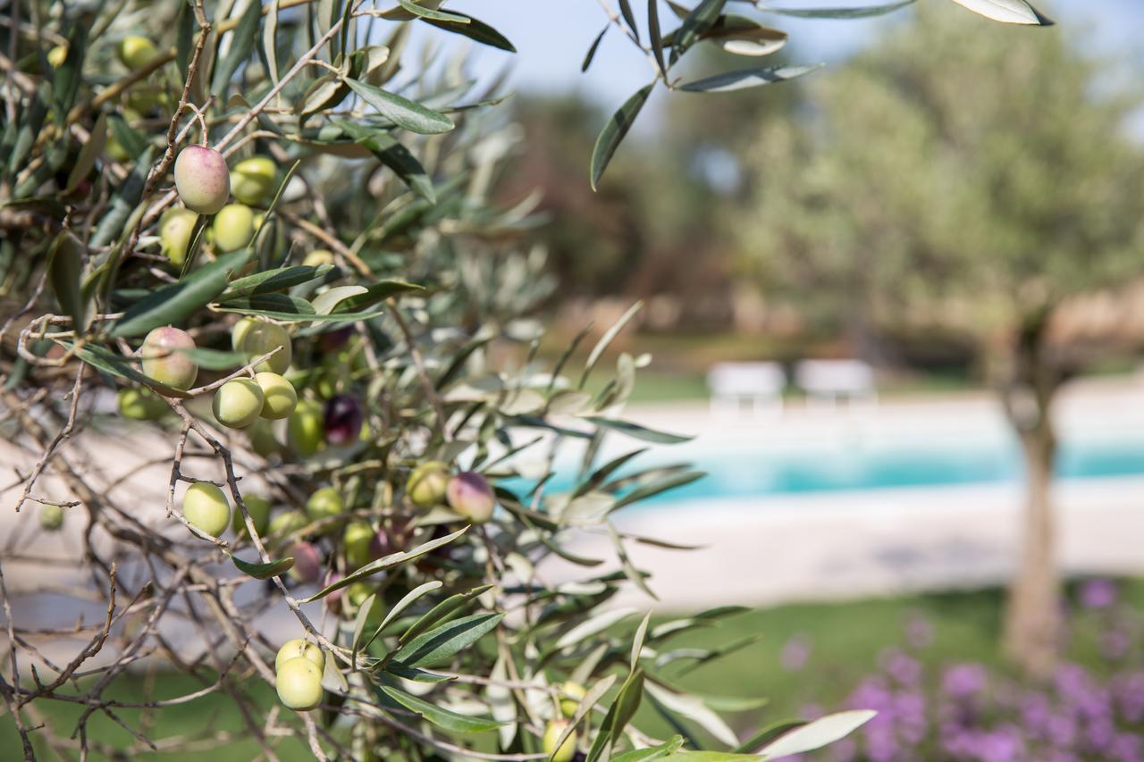 Masseria Saietti Ruffano Exteriér fotografie